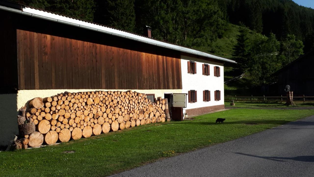 Ferienhaus Monika Gutschau エクステリア 写真